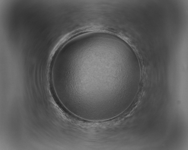 X0000058800007200510031332