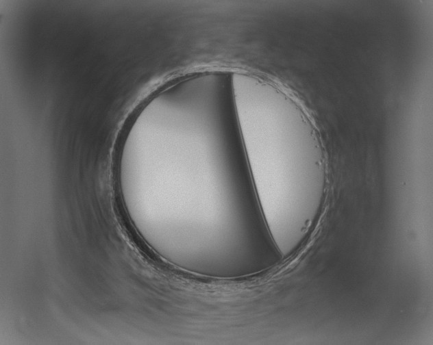 X0000058800008200510031332