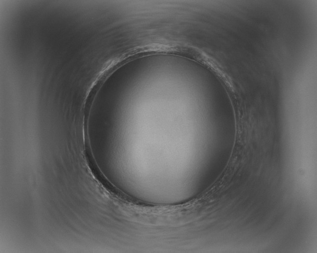 X0000058800011200510031332