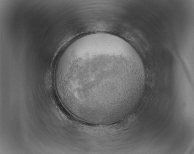 X0000058800012200510031332