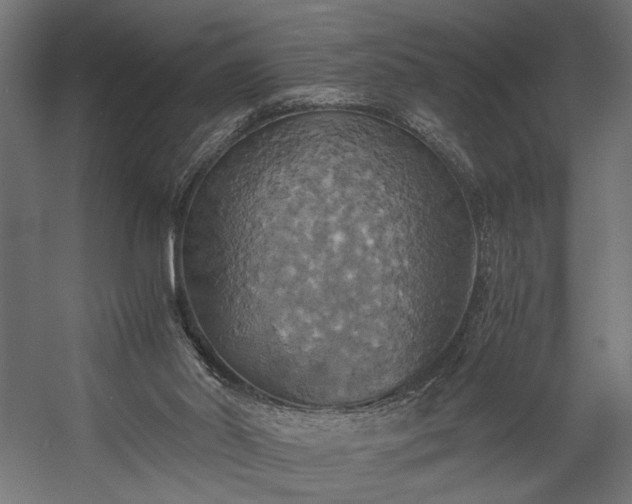 X0000058800014200510031332