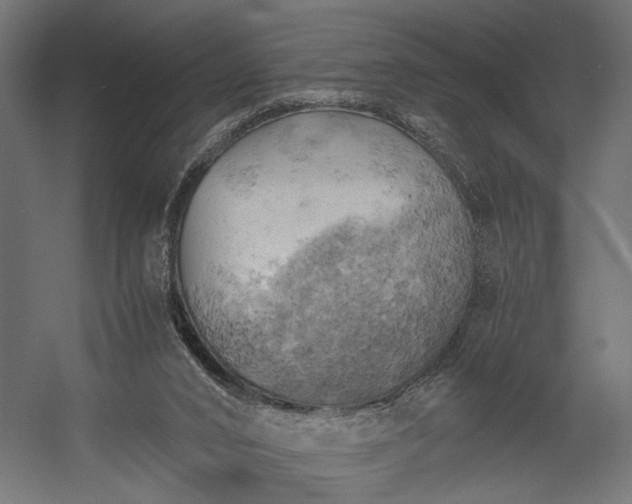X0000058800016200510031332