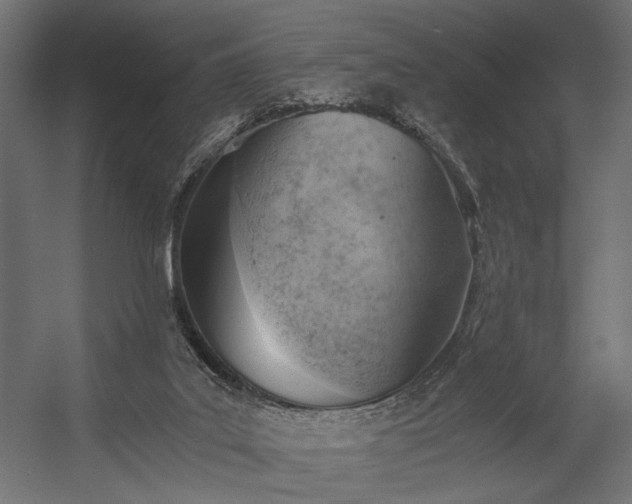 X0000058800019200510031332