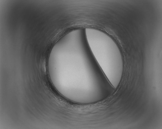 X0000058800021200510031332