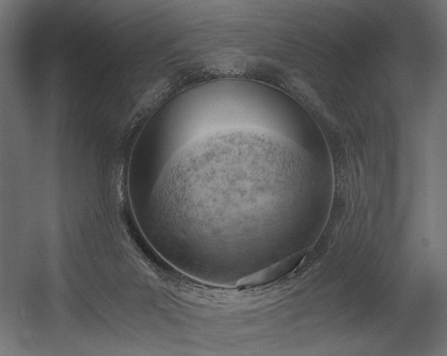 X0000058800023200510031332