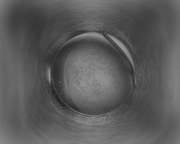 X0000058800027200510031332