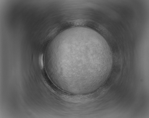 X0000058800028200510031332