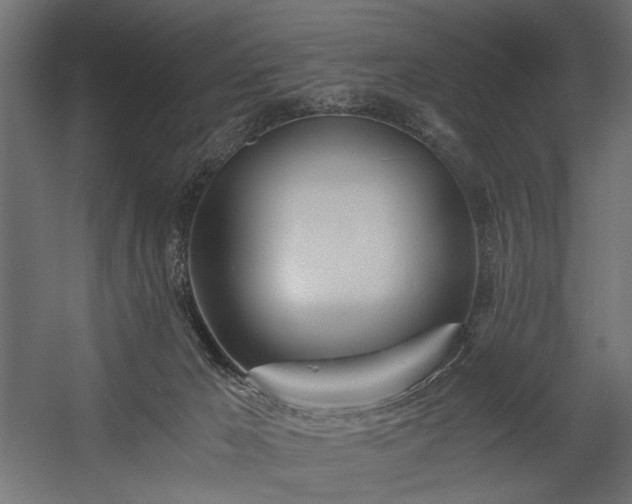 X0000058800029200510031332