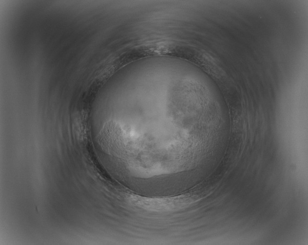X0000058800030200510031332