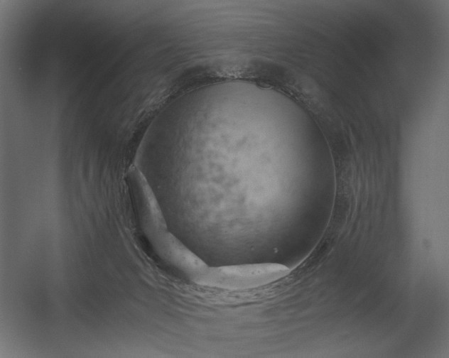 X0000058800031200510031332