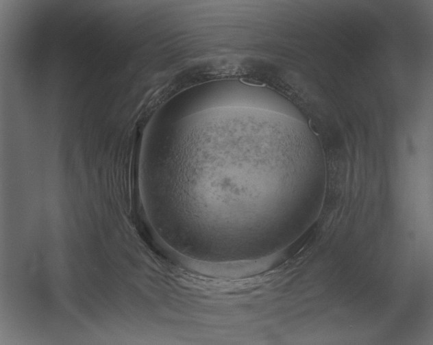 X0000058800035200510031332
