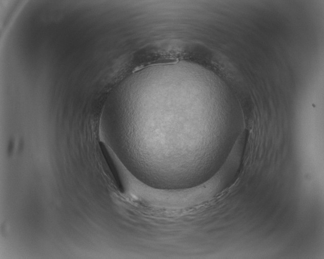 X0000058800037200510031332
