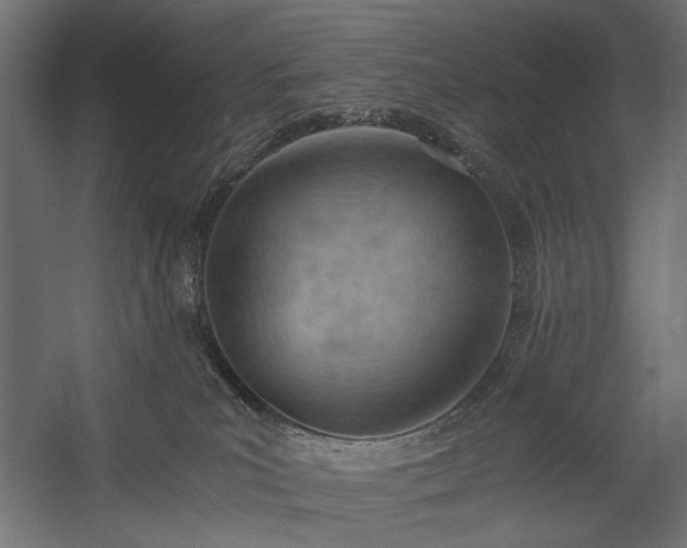 X0000058800039200510031332