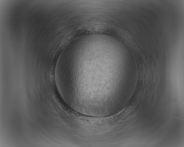 X0000058800040200510031332