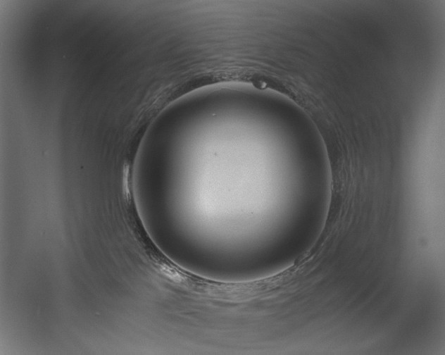 X0000058800041200510031332