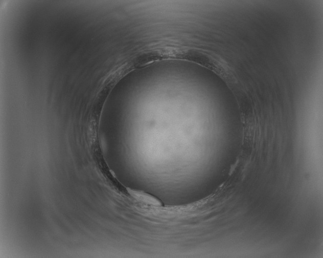 X0000058800043200510031332