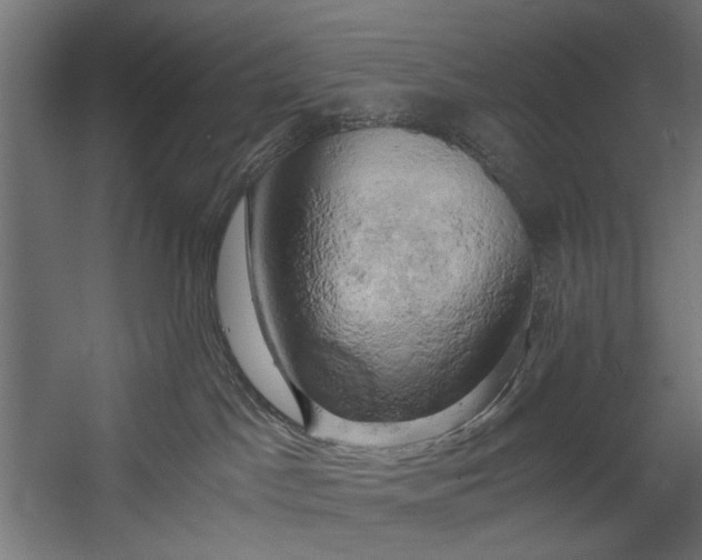 X0000058800045200510031332