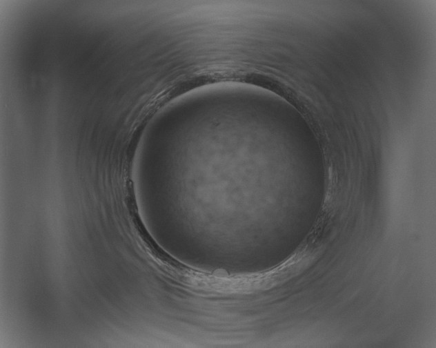 X0000058800048200510031332