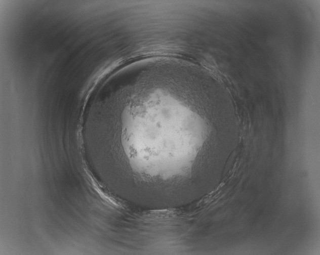 X0000058800050200510031331