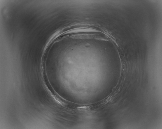 X0000058800053200510031331