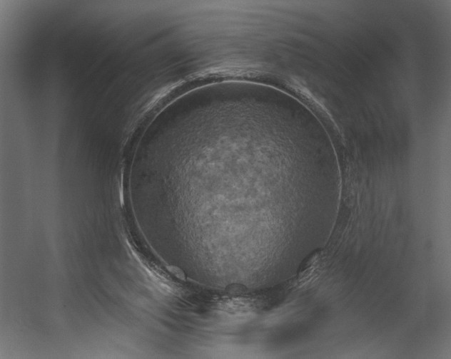 X0000058800062200510031331