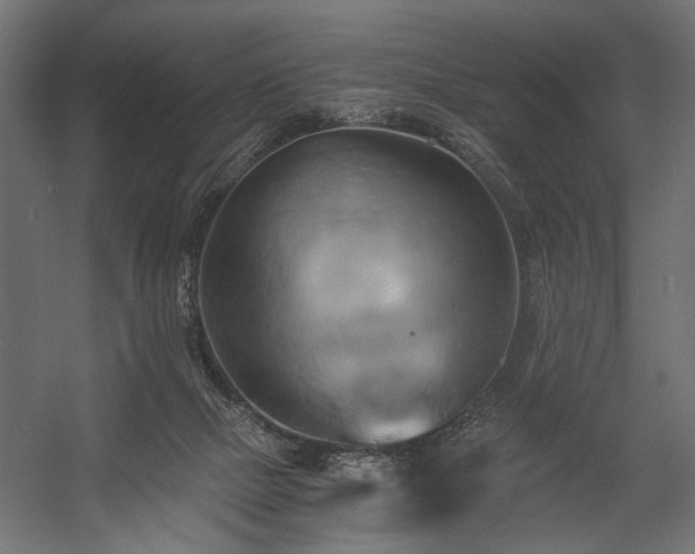 X0000058800073200510031331