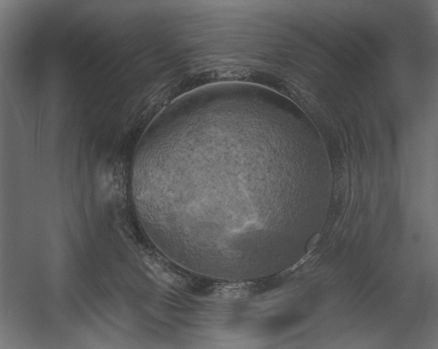 X0000058800078200510031331