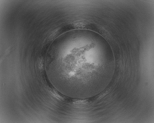 X0000058800081200510031331