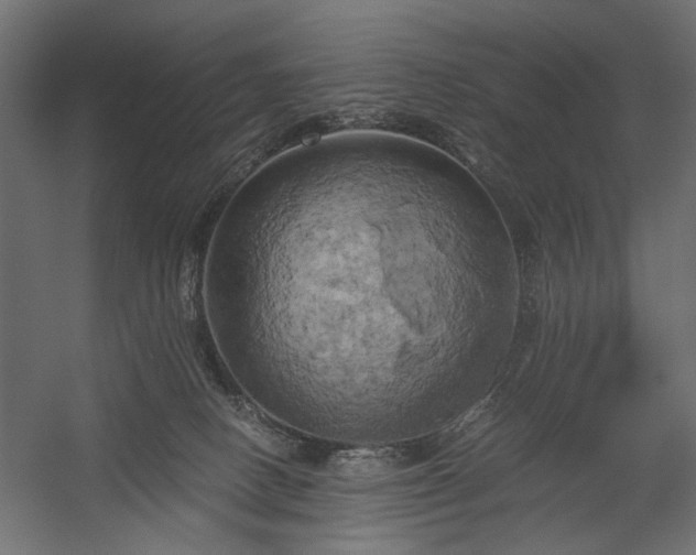 X0000058800082200510031331