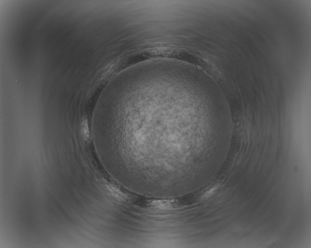X0000058800089200510031331