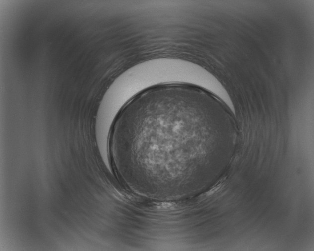 X0000058800091200510031331