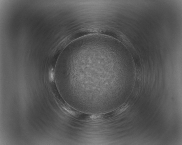 X0000058800095200510031332