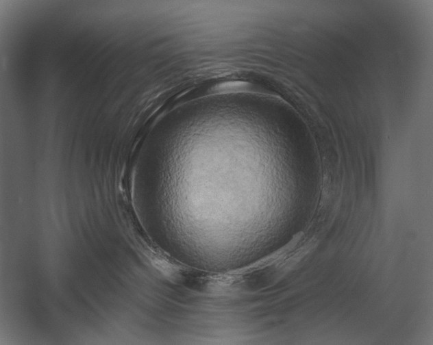 X0000058800096200510031332