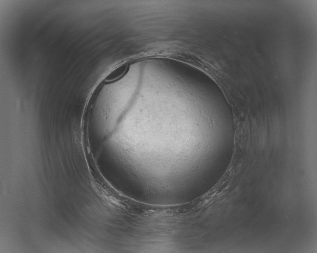 X0000058800100200510031331