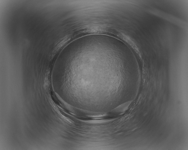 X0000058800105200510031331