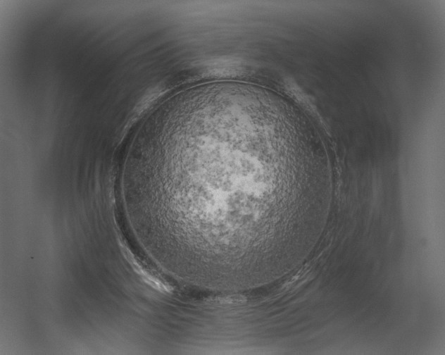 X0000058800106200510031331