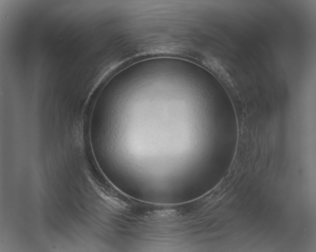 X0000058800108200510031331