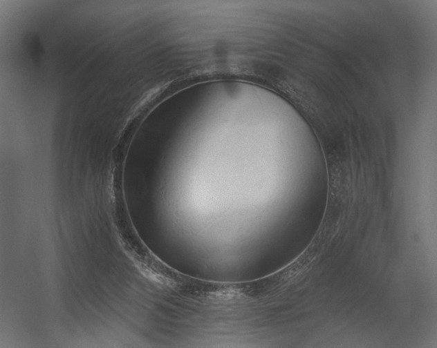 X0000058800112200510031330