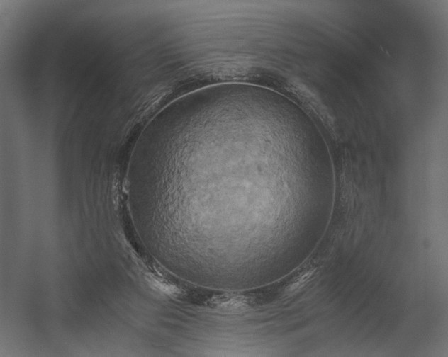 X0000058800113200510031330