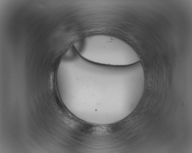 X0000058800118200510031330