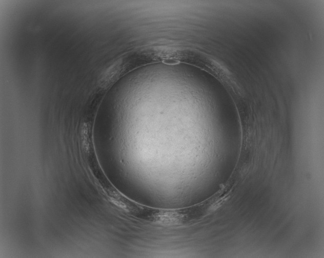 X0000058800121200510031330