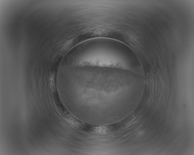 X0000058800127200510031330
