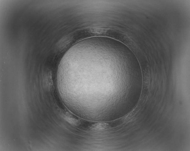 X0000058800128200510031330