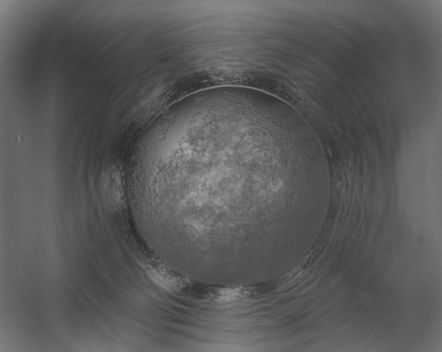 X0000058800130200510031330