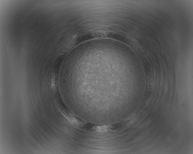 X0000058800134200510031330