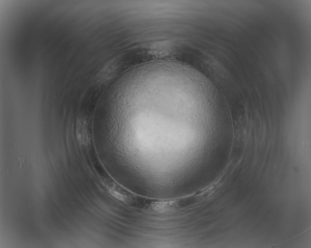 X0000058800136200510031330