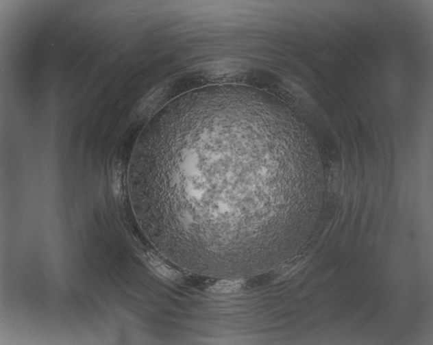 X0000058800138200510031330