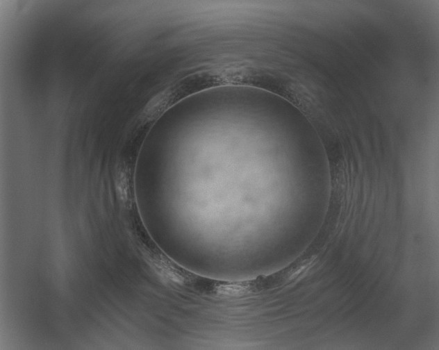 X0000058800139200510031330