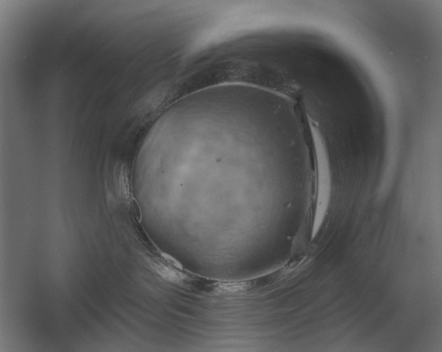 X0000058800143200510031330