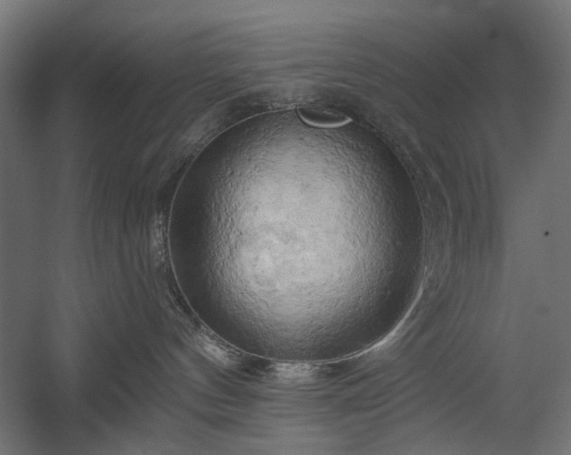 X0000058800144200510031330
